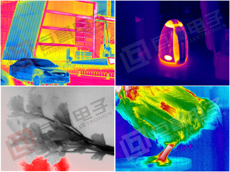 巨哥电子-红外热成像仪图例