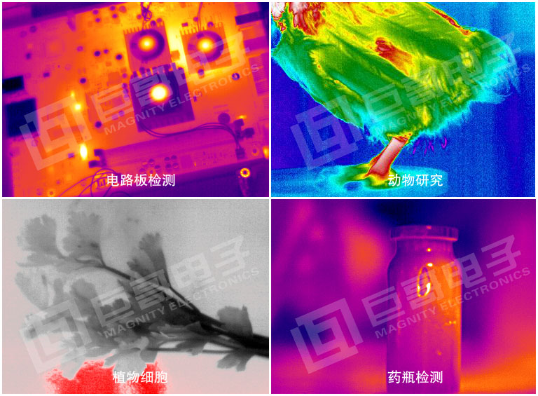 巨哥电子-红外热成像仪辅助科研